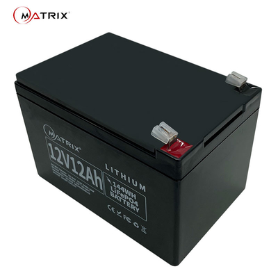 12 batterie au lithium profonde rechargeable de cycle de volt 12ah avec la caisse d'ABS