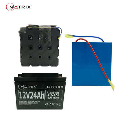 12 batterie de Profond-cycle du Lithium-ion Lifepo4 de volt 24ah pour des serveurs d'ordinateurs