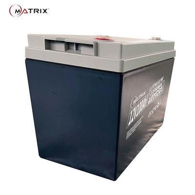 Lithium Ion Solar Energy Battery 12v100ah LiFePO4 avec les 2000 vies de cycle de périodes